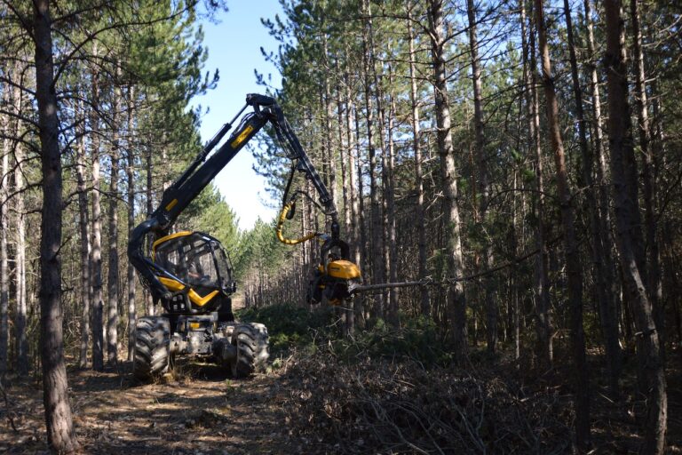 Gdzie sprawdzają się głowice harwesterowe?